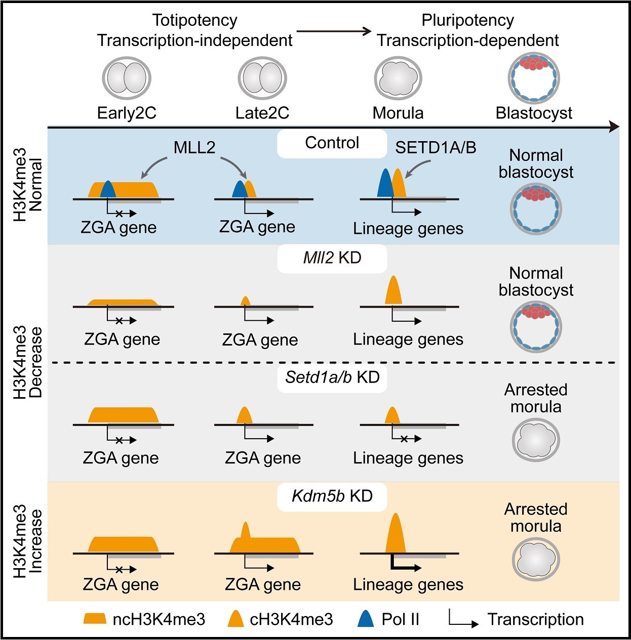 Figure7_V3-01.jpg