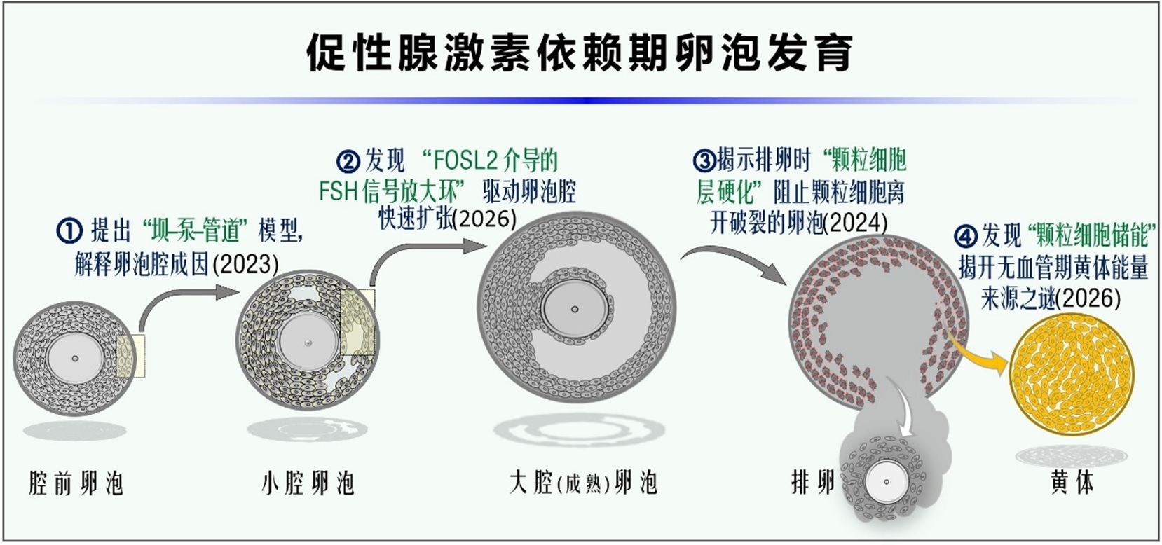 无标题4.jpg 无标题4.jpg